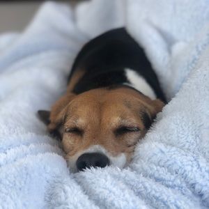 Meet your Posher, Savannah